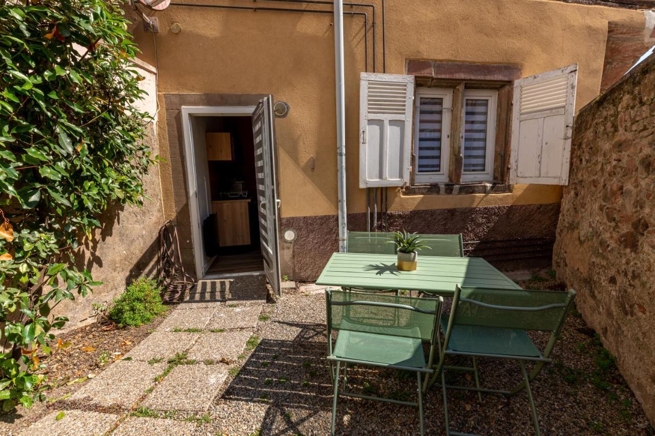Appartement Cosy Avec Jardin Au Centre Historique De Selestat & Proche Europa-Park Екстериор снимка
