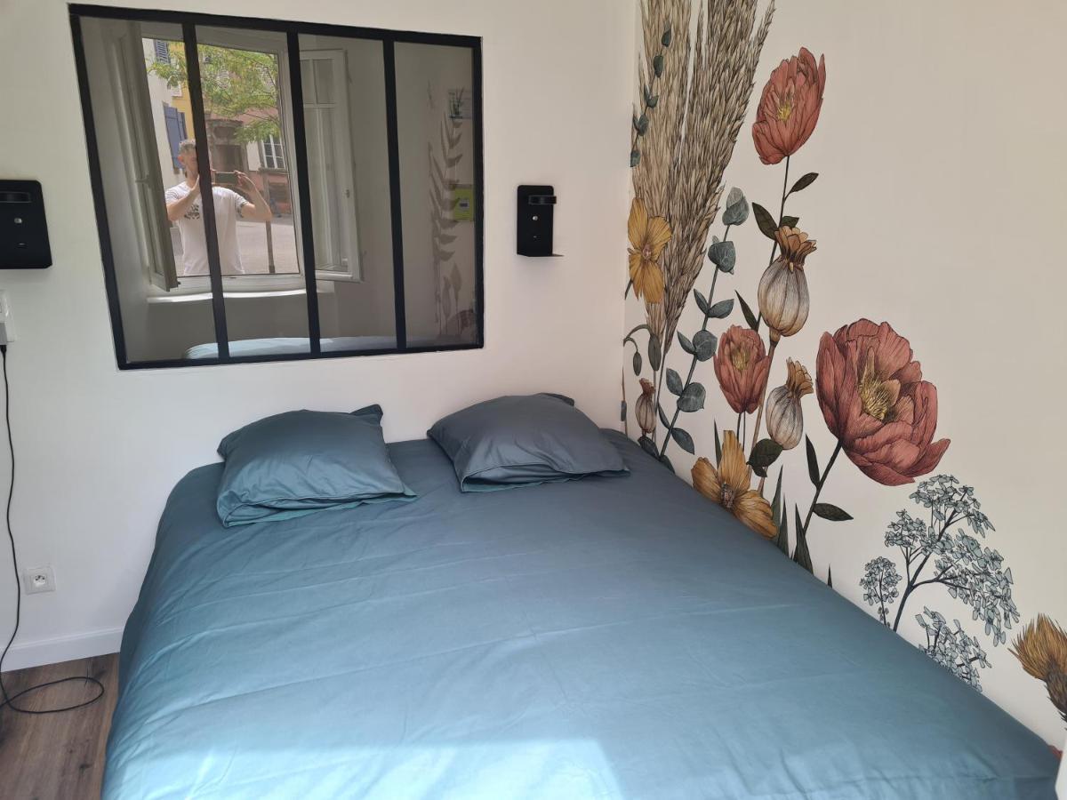 Appartement Cosy Avec Jardin Au Centre Historique De Selestat & Proche Europa-Park Екстериор снимка